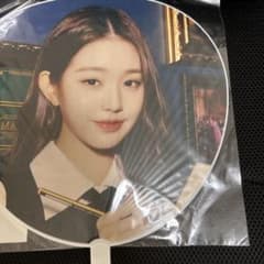 IVE WONYOUNG うちわ コンサートグッズ ウォニョンのサムネイル