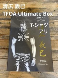 清広 義巳 TFOA Ultimate Box フィギュア 清広 義巳 TFOA Ultimate Box フィギュア - メルカリ