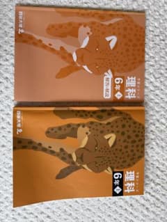 四谷大塚　理科6年上　予習シリーズ 四谷大塚】予習シリーズ 理科 6年 上 - メルカリ