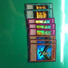 遊戯王英語版霊獣のサムネイル