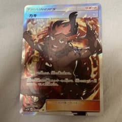 カキ　srのサムネイル