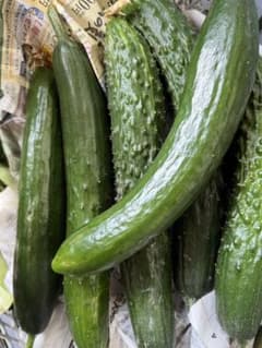 パンダさん様専用です。新鮮野菜詰め合わせです。のサムネイル