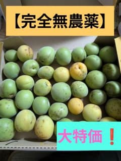 【完全無農薬】青梅　1kgのサムネイル