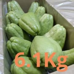 ⭐無農薬 はやとうり ハヤトウリ 6.1Kg 12個 福島県産 214 - メルカリ
