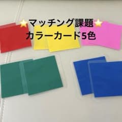 カラーマッチングカード5色　裏表色付き　10枚セット　療育　グッズ　教材のサムネイル