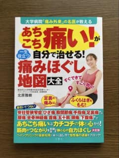 あちこち痛い!が自分で治せる!一生役立つ痛みほぐし地図大全のサムネイル