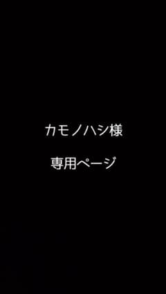 ダイワ ゴアテックス プロバイザーDR-1508のサムネイル
