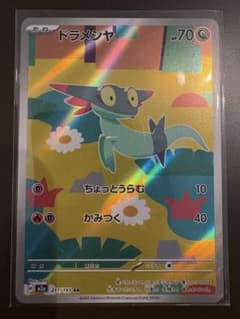 ドラメシヤ AR 211/193のサムネイル