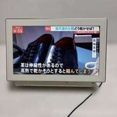 Panasonic DMP-HV150 ポータブルテレビ 本体のみ リモコン無し - メルカリ