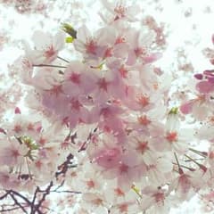 Pag様専用♡のサムネイル