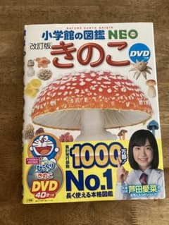 きのこ DVDつきのサムネイル