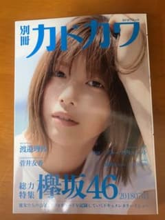 【ぺーこ様専用】別冊カドカワ 総力特集 欅坂46 20180703のサムネイル