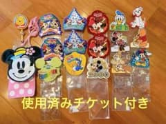 ディズニーリゾート　パスケース96〜2000年前後チケット付き