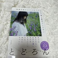 未来を決めるのは私だから王子様も魔法もいらない とどろん