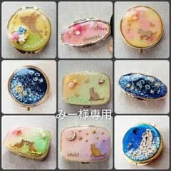 【みー様専用】ピルケースオーダーのサムネイル
