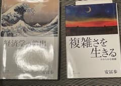 安富歩 経済学の絵画 & 複雑さを生きる - メルカリ