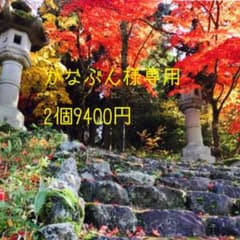 かなぶん様専用のサムネイル