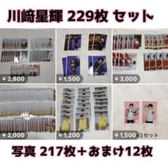 川﨑星輝 写真 まとめ売り 229枚セット 総額4万超え 川崎星輝 - メルカリ