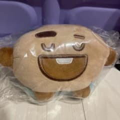 BT21 이치 반 쿠지 MOON 봉제 장난감 SHOOKY
