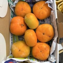 柿　刀根早生　約1キロ　ご家庭用　個数は変動　タイムセールのサムネイル
