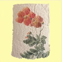 原画 赤い花 山野草 日本画 手すき和紙 ボタニカルアート 植物画 一点