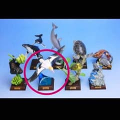 小笠原 ガチャガチャ アホウドリ フィギュアのサムネイル