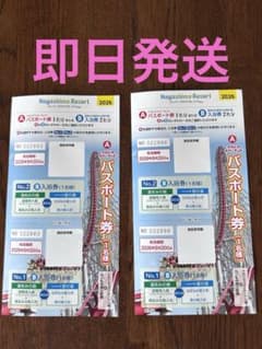 ナガシマスパーランド パスポート券 2枚 - 3