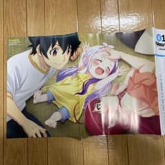 Newtype 핀업