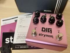 strymon DIG V2 Dual Digital Delayのサムネイル