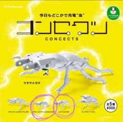 コンセクツ　ガチャのサムネイル