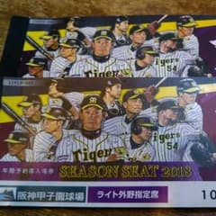 阪神vs中日☆5/6(日)☆ライト外野指定席10段ペア☆100%雨天補償のサムネイル