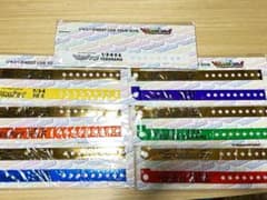 WESTival 会場限定グッズ ウェスティパスのサムネイル