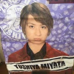 宮田俊哉タペストリーのサムネイル