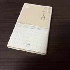 アレント入門　ちくま新書