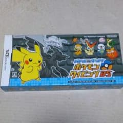 ★チャムセ★様専用DSのサムネイル