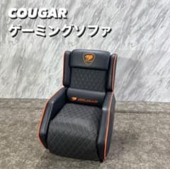 m69062474989_1.jpg?1742700335