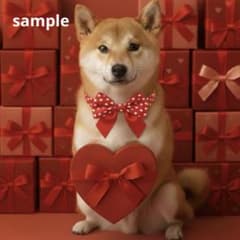 【期間限定】[151中]柴犬　バレンタイン　ステッカーのサムネイル