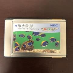 魚八景ジュニアカード 海水魚14のサムネイル
