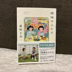 団地のふたり　藤野千夜のサムネイル