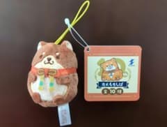 もちしば　ぬいぐるみ　マスコット　忠犬もちしば　10周年ぎゅっとぷち
