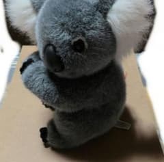 コアラ ぬいぐるみ リアルのサムネイル