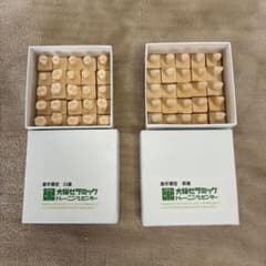 大阪セラミックトレーニングセンター エポキシ歯牙模型　歯科技工　歯型彫刻 大阪セラミックトレーニングセンター 天然歯牙模型 歯科技工 歯型彫刻