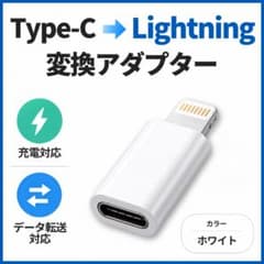 Type-C->Lightning 변환 어댑터 iPhone 타입 C 화이트