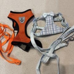 犬用ハーネス リード セット 2点 オレンジ M ライトブルー XSのサムネイル