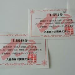 九重森林スキー場　リフト券のサムネイル