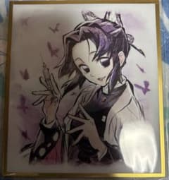鬼滅の刃　胡蝶しのぶ　アクリル原画色紙　A4 鬼滅の刃 無限城編 WEBSHOPくじ アクリル色紙 A04 胡蝶しのぶ - メルカリ