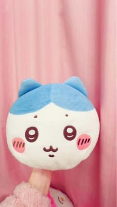 チイカワ ハチワレのサムネイル