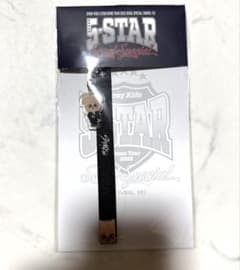 スンミン　ペンライトストラップ　パピーム　スキズ　5star straykidsのサムネイル