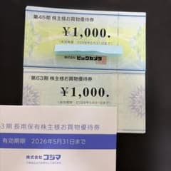 10000円分 ビックカメラ コジマ 株主優待券 - メルカリ