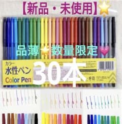 【新品】水性カラーペン　水性マーカー　水性サインペン　セット30本　プレイカラーのサムネイル